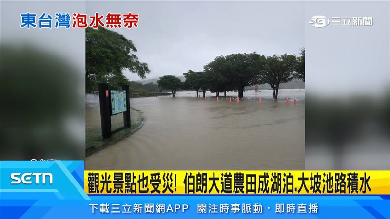 水閘門未開導致民宅積水,大坡池、伯朗大道周邊也變成汪洋,農田作物泡水