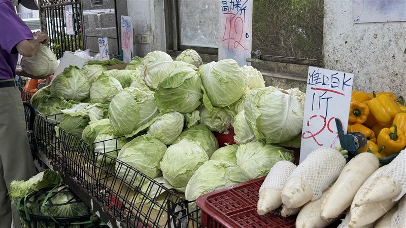 中國甲醛白菜流入台？食藥署：無輸入紀錄