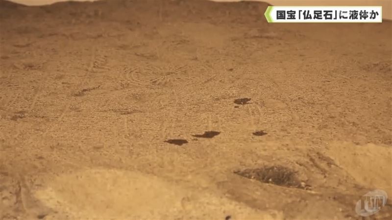 五熊捲入日本奈良藥師寺國寶「佛足石」遭潑油事件,頂部共有四處約1至2公分見方的斑痕。(圖/翻攝自奈良テレビNEWS YouTube)