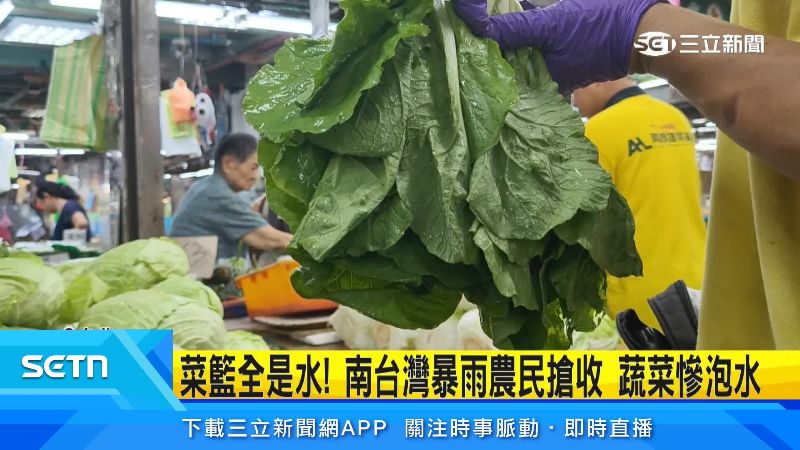 蚵白菜一拿起就開始滴水