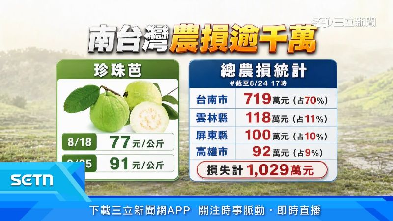 芭樂價格漲了不少