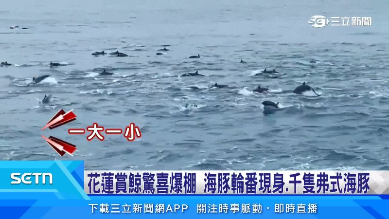 民眾和解說員都很驚喜