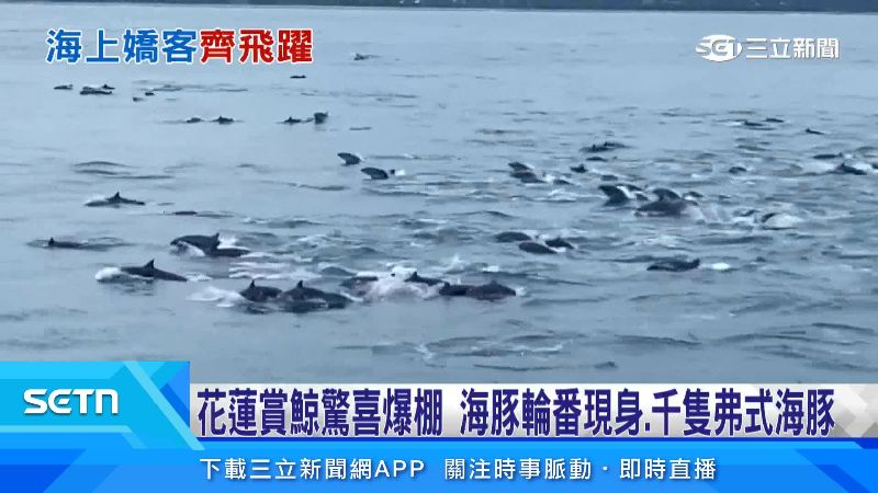 遊客原本還擔心看不到東西