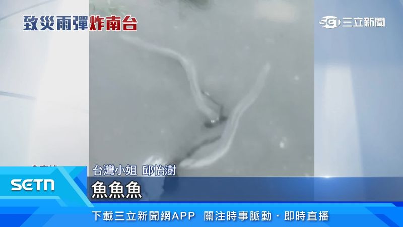 邱怡澍對著鰻魚拍片,苦中作樂