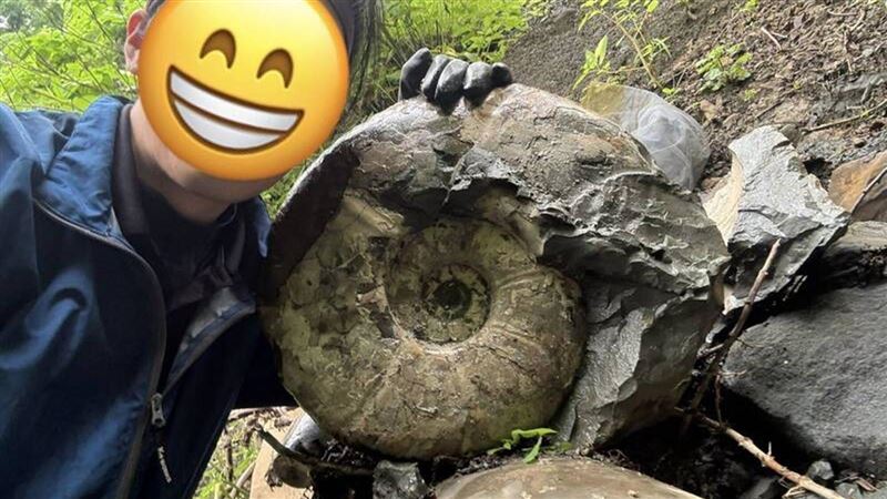 男赴北海道挖「巨大化石」！轟動399萬人