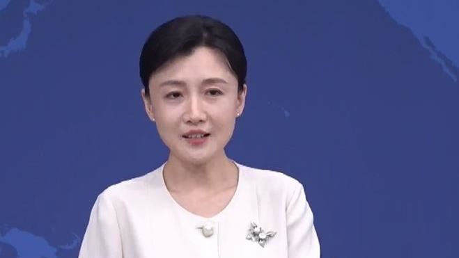 中國國台辦發言人張晗回應馬來西亞首相安華的言論。(圖/翻攝畫面)