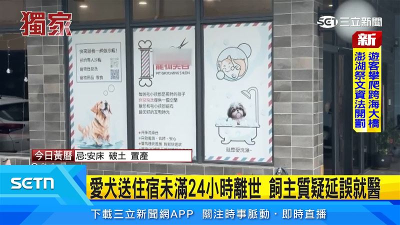 寵物美容店違法收留犬隻，愛犬疑似錯過救援離世，動保處最高可罰300萬元