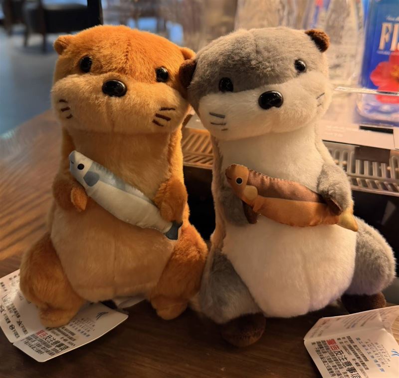 森聚場取得國立海洋生物博物館歐亞水獺 IP授權,展開跨界深度合作