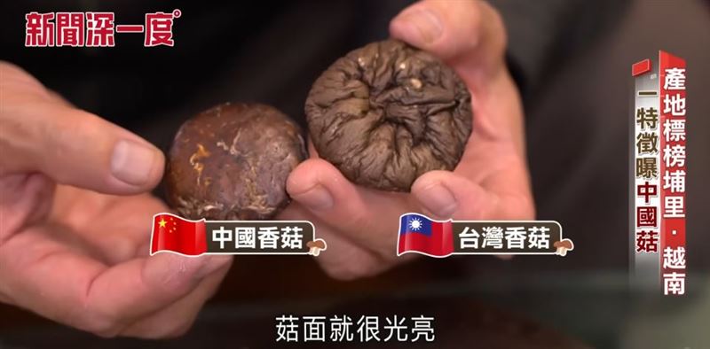 中國菇菇面較光滑