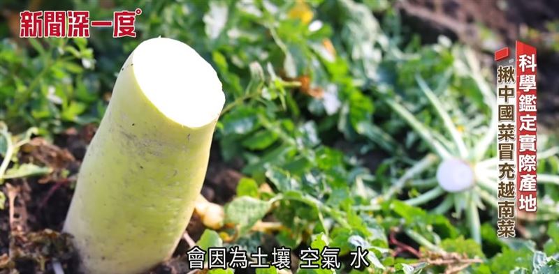 科學鑑定「種在哪」　阻斷中國菜洗產地