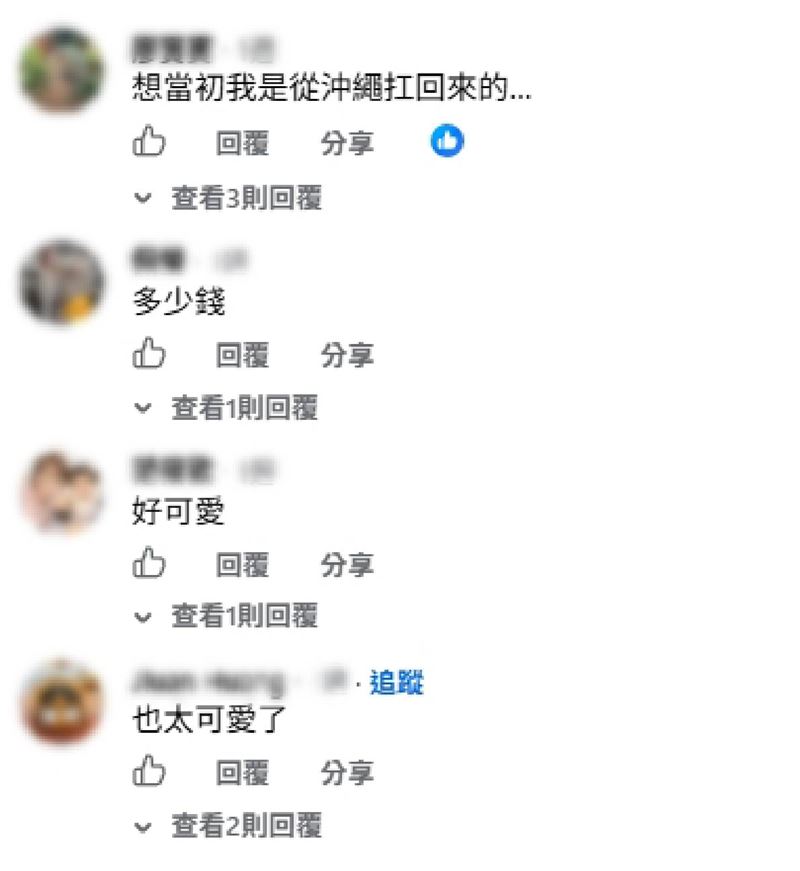 沖繩人氣鯨鯊盤現身大全聯,網友紛紛留言。(圖/翻攝自「大全聯好物分享社」臉書)