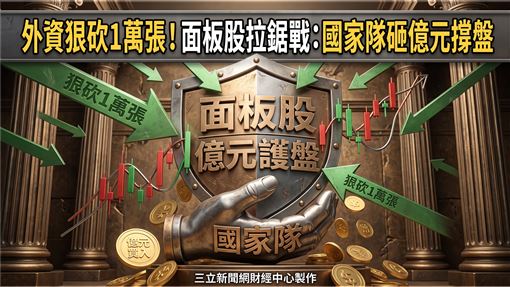 外資砍1萬張！國家隊億元護盤這檔面板股
