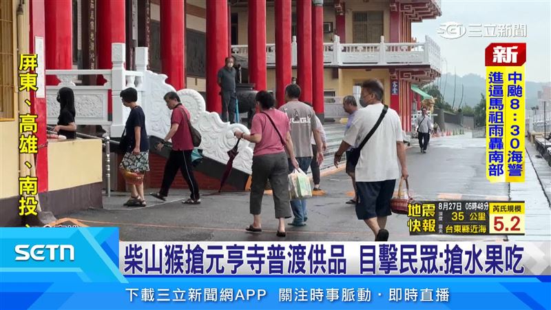 中元普渡高雄柴山猴群出沒,獼猴搶供品到處竄