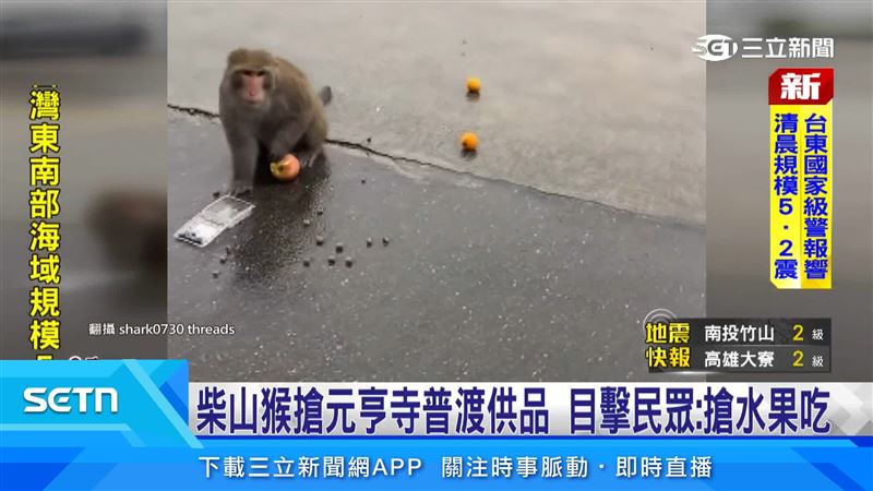 拿在手上的普渡供品,專家提醒改用不透明包袋攜帶,避免與獼猴正面衝突受傷。(圖/翻攝自Threads @shark0730)
