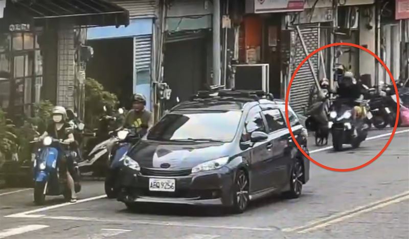 黑狗一路被飼主綁在車上前進。(圖/翻攝畫面)