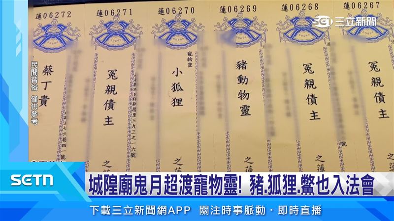 中元超渡法會,寵物豬、狐狸、鱉也入列,陪毛孩走完最後一程