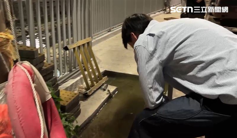 台中新婚2個月的夫妻,傳出不慎遺失婚戒,懸賞10萬元獎金協尋,許多民眾紛紛趕赴搜索。(圖/翻攝畫面)