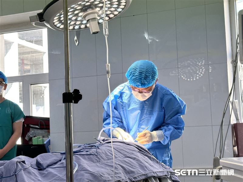 羅綸洲醫師指出，現今手術技術不斷進步，許多顱顏孩子已不必像過去一樣，在成長過程中反覆接受多次修補手術。以腭裂手術為例，過去約有36%的孩子術後仍需接受第二次語言相關手術，如今已降至約9%；而40年前約有56%的孩子在上小學前還得再次接受唇鼻修補，如今更已降至幾乎為零。對他而言，手術量變少的背後，其實也是醫療進步最值得欣慰的結果。（資料照／記者張雅筑攝）