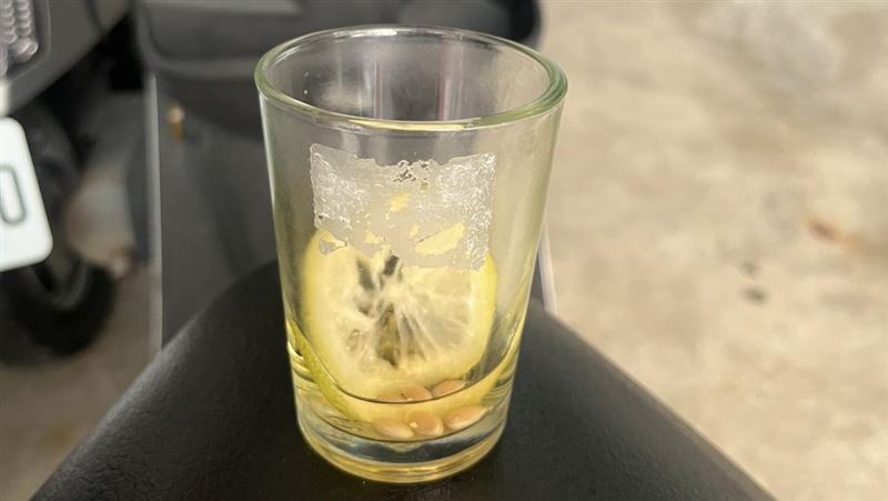 林女因交通違規被攔查,員警還在車上發現酒杯,林女竟甜喊「警察弟弟」還伸手摸員警的大腿,最終因酒駕被送辦。(圖/翻攝畫面)