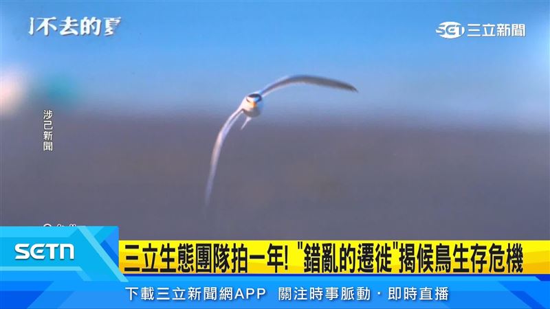 三立生態紀錄團隊推出《錯亂的遷徙》系列紀錄片
