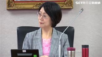 公投能否決憲法法庭判決？綠委狠酸翁曉玲