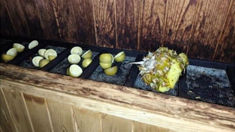 健身房烤箱故障竟是有人「烤果皮」畫面曝