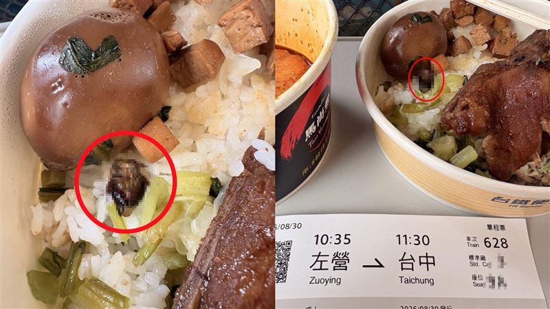 嗑台鐵便當！下秒見「無頭小強拌飯」崩潰