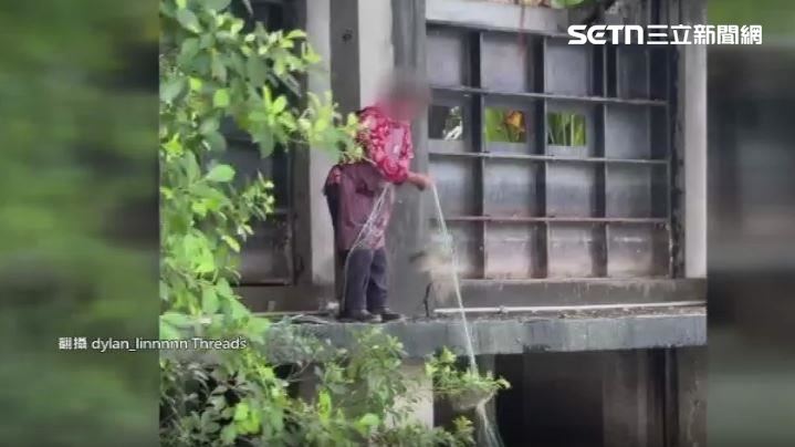 獨家／蓮池潭阿婆撒網捕魚　釣客看傻眼