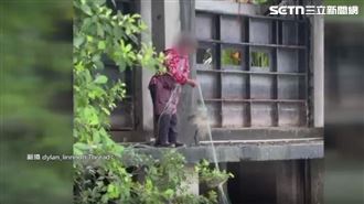 獨家／蓮池潭阿婆撒網捕魚　釣客看傻眼