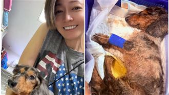 潘慧如砸10萬救瀕死老狗　堅持領養原因曝