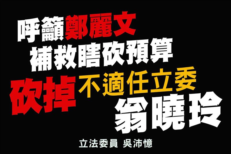 吳沛憶建議,鄭麗文應該砍掉國民黨不分區立委翁曉玲立委席次,讓立法院正常一點點,這才叫做補救。(圖/翻攝自吳沛憶臉書)
