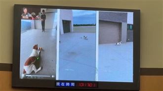 搜救犬Wilson死因出爐！消防局長還原經過