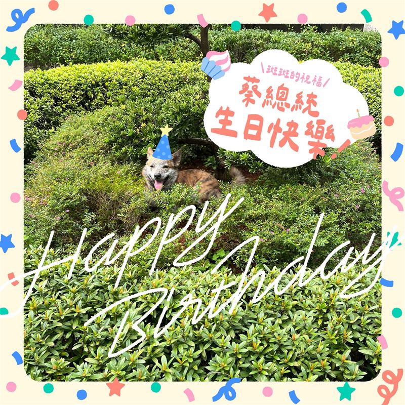 前總統蔡英文今（31）日70歲生日，賴清德總統在社群平台分享斑斑的生日卡，一起祝小英生日快樂。（圖／翻攝賴清德Threads）