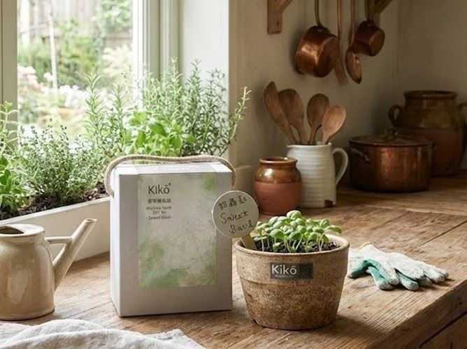 KIKŌ低碳香草栽種禮盒,會分解的永續紀念品「竹材再生盆栽」