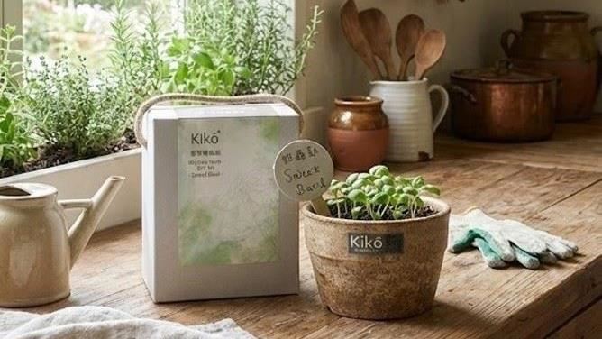 三立會分解的永續紀念品「竹材再生盆栽」