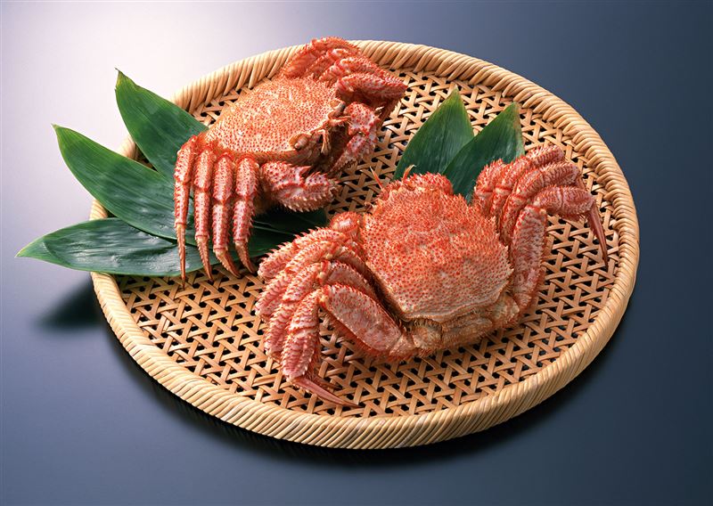 台北美福晴山日本料理的「金秋饌蟹」宴,針對喜愛細嚐蟹味的賓客,提供北海道公認的蟹中極品「毛蟹」,充滿細毛的硬殼下,是肉質細嫩的甘甜蟹肉,無論清蒸或炭烤皆可原味品鮮。(圖/飯店旅宿業者提供)