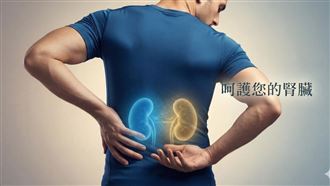 「腎絲球過濾率」紅字別怕！醫曝護腎關鍵