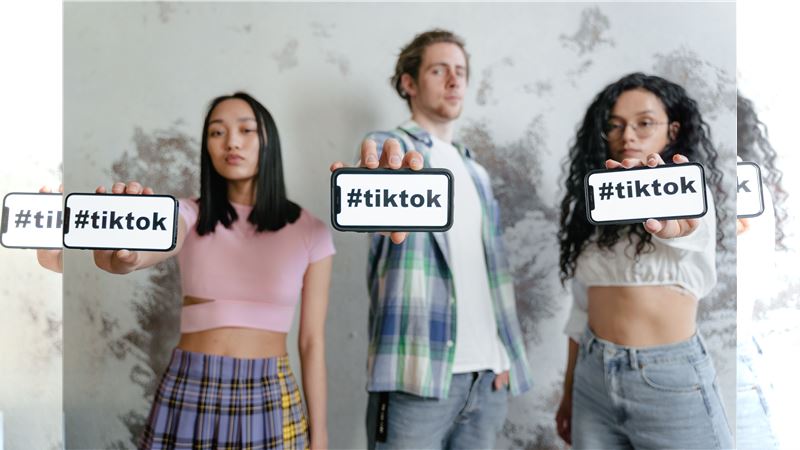 TikTok互動機制成詐騙溫床　越南嚴打黑道
