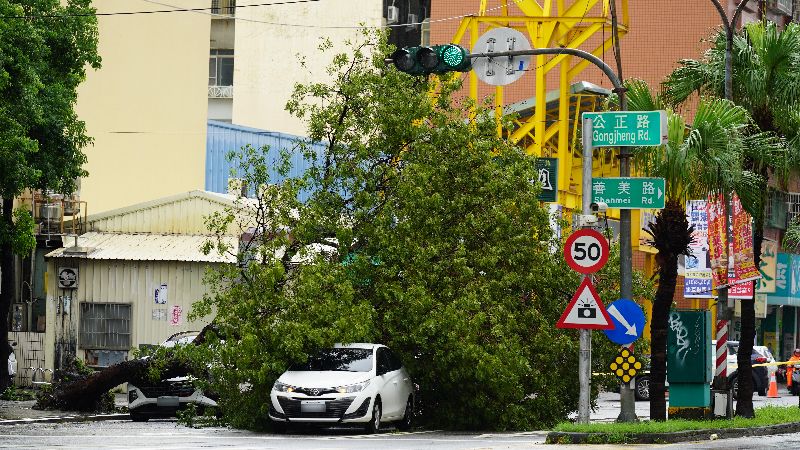 南台灣大雨不斷，1日高雄巿前鎮區有路樹倒塌後壓及2輛轎車，所幸未造成人員受傷
