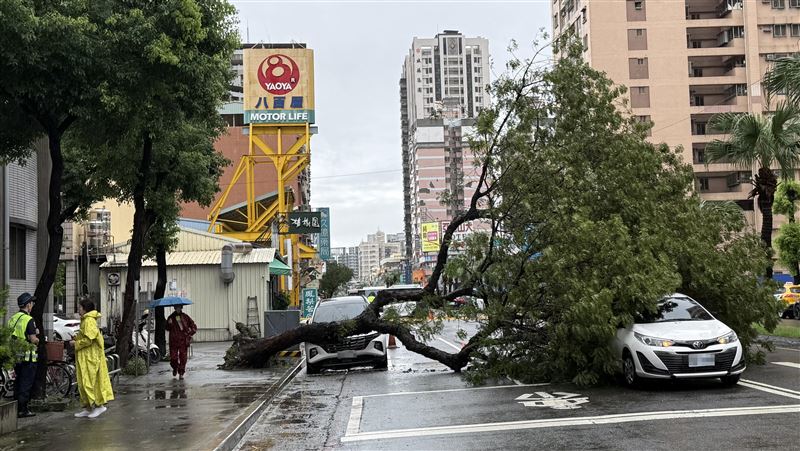 高雄雨釀災　擋土牆再崩、道路積水路樹倒