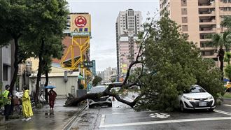 高雄雨釀災　擋土牆再崩、道路積水路樹倒