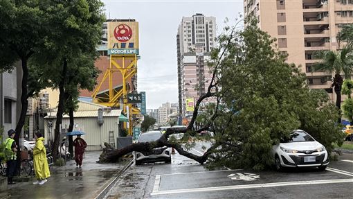 高雄雨釀災　擋土牆再崩、道路積水路樹倒
