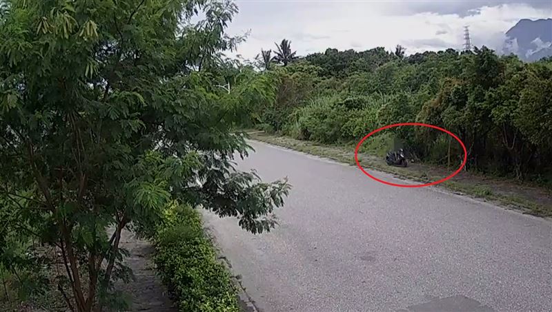 姜姓男子騎機車行經華工六路時,不明原因偏離車道撞上路旁樹木。(圖/翻攝畫面)