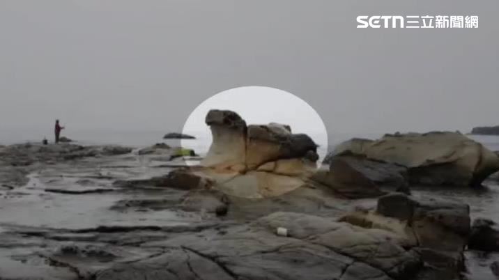 外型神似一隻仰望海面的海豹的特殊岩石就是知名打卡點「海豹岩」