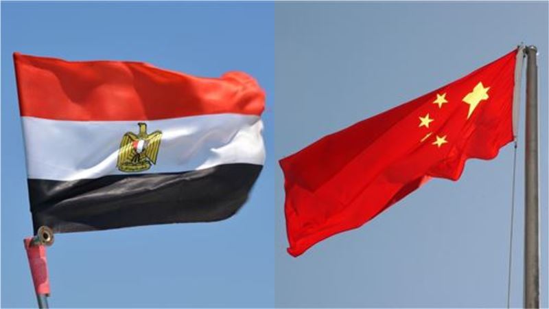 中埃聲明重申一中　我國外交部嚴正駁斥