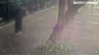 雨傘遮眼擦撞對罵　台北男女當街互毆送辦