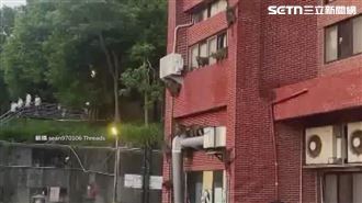 「中山大學長」巡房？瀑布般猴群攀外牆