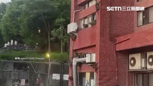 「中山大學長」巡房？瀑布般猴群攀外牆