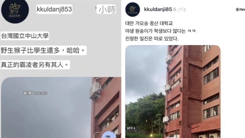 中山大學的猴子引發韓國網友關注