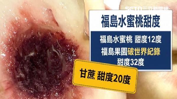 福島水蜜桃平均甜度落在12度